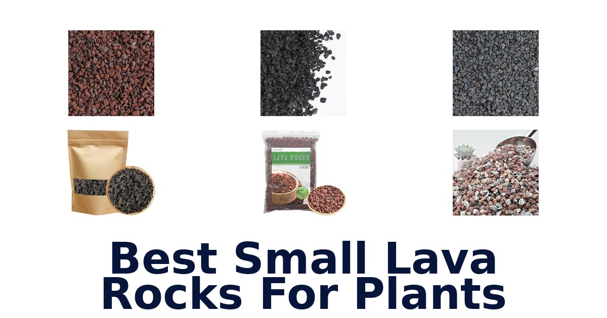Best Small Lava Rocks For Plants