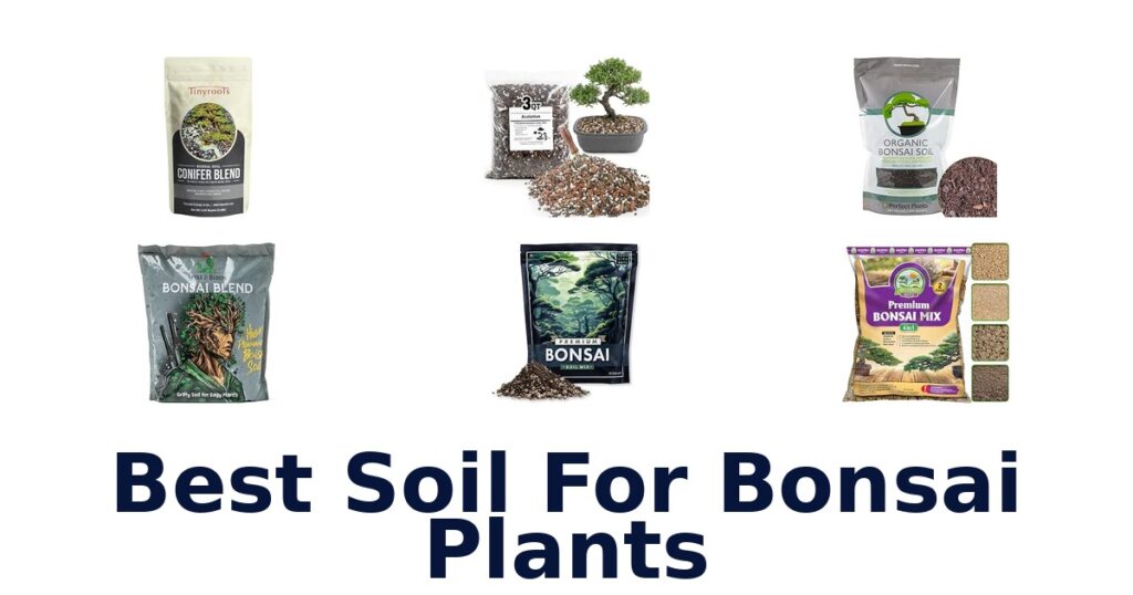 Best Soil For Bonsai Plants