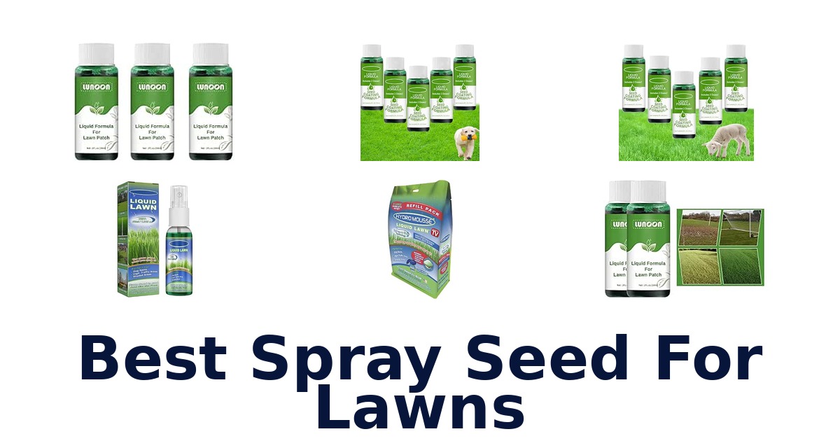 Best Spray Seed For Lawns