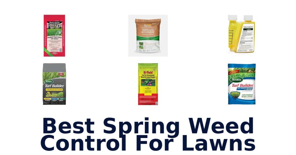 Best Spring Weed Control For Lawns