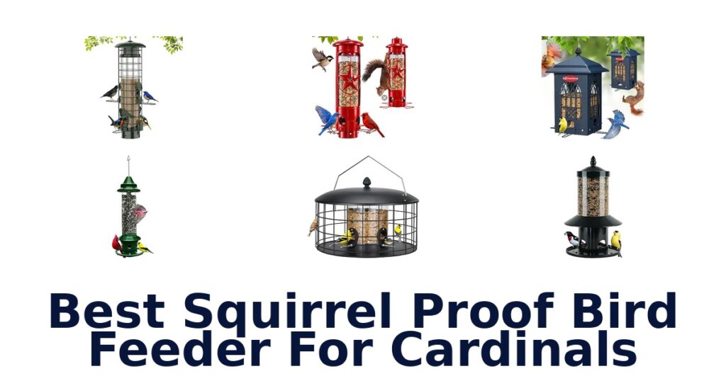 Best Squirrel Proof Bird Feeder For Cardinals
