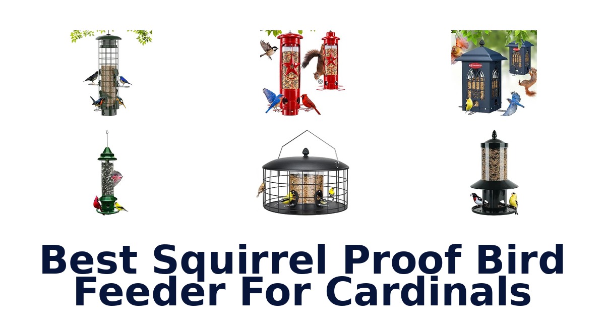 Best Squirrel Proof Bird Feeder For Cardinals