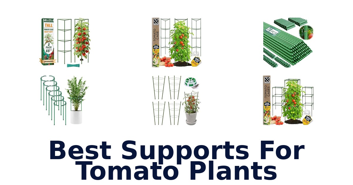 Best Supports For Tomato Plants