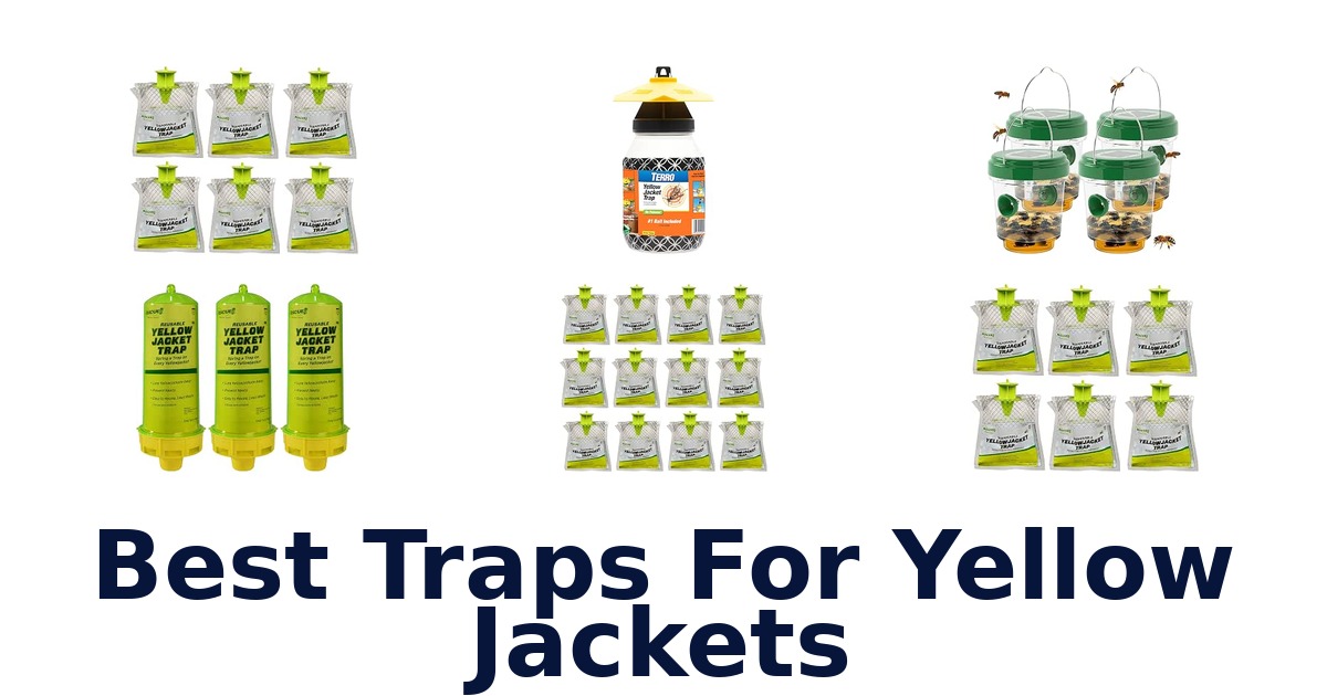 Best Traps For Yellow Jackets