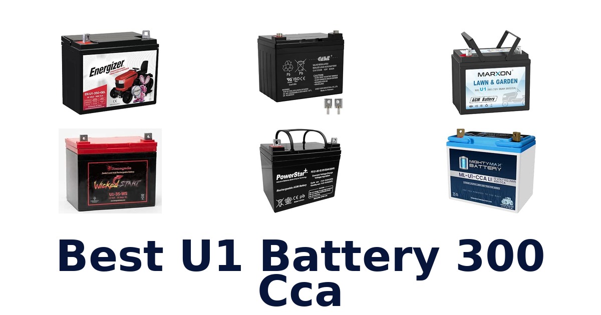 Best U1 Battery 300 Cca