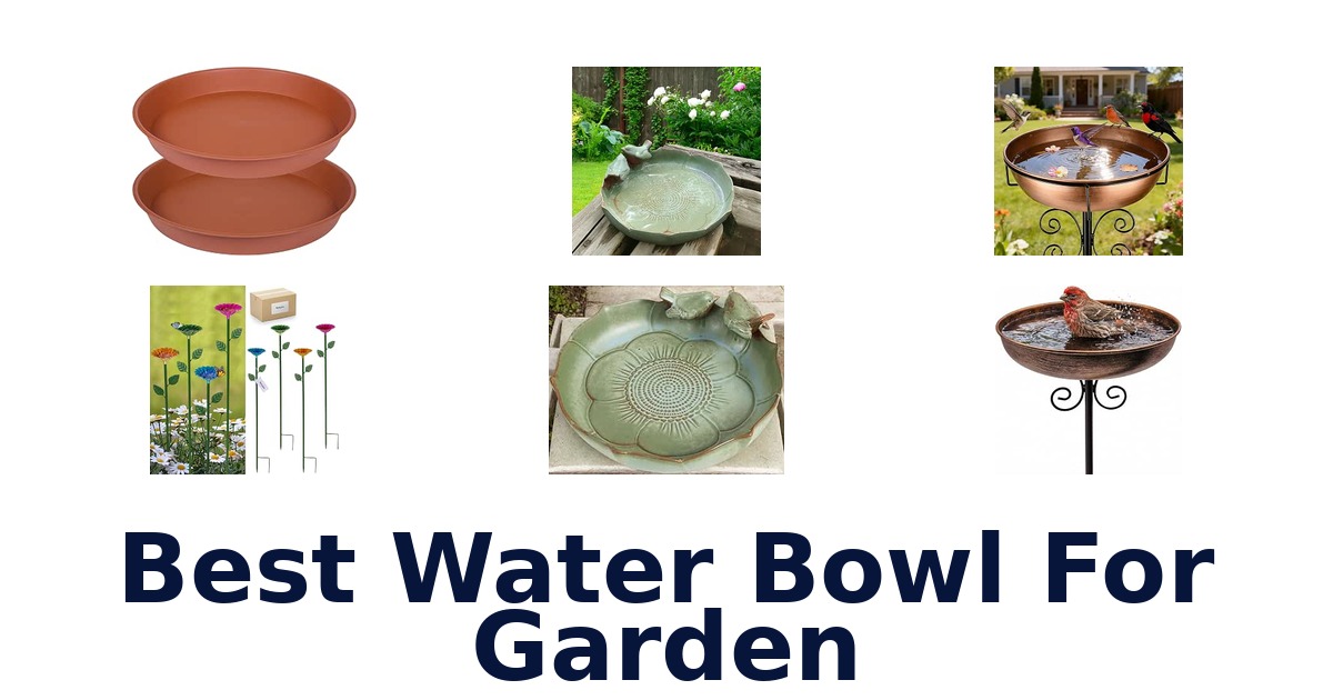 Best Water Bowl For Garden