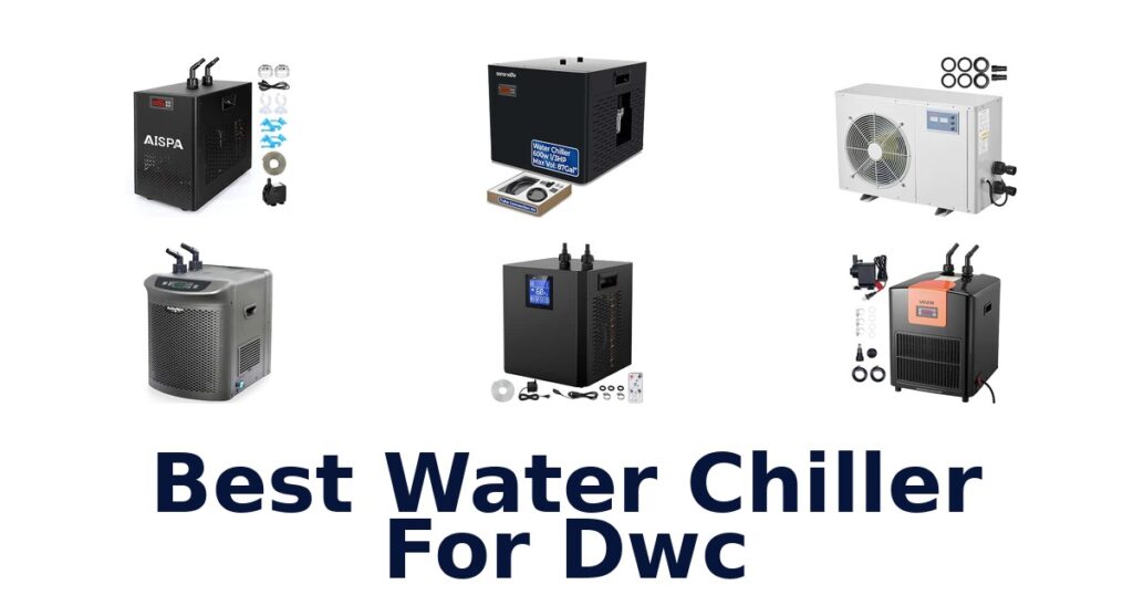 Best Water Chiller For Dwc