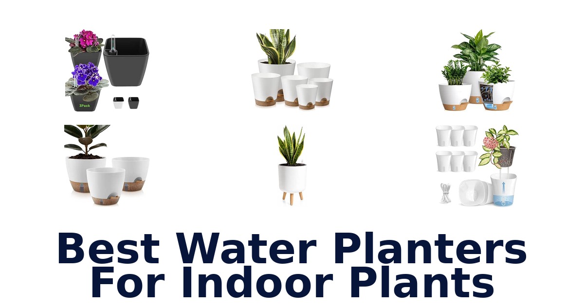Best Water Planters For Indoor Plants