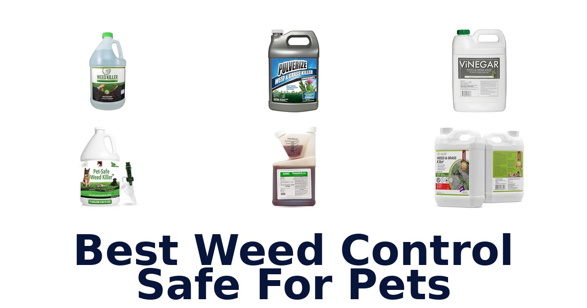 Best Weed Control Safe For Pets