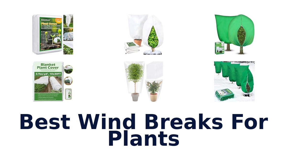 Best Wind Breaks For Plants