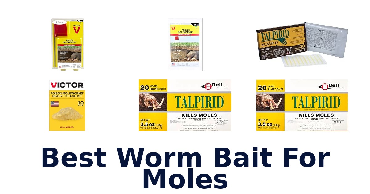 Best Worm Bait For Moles